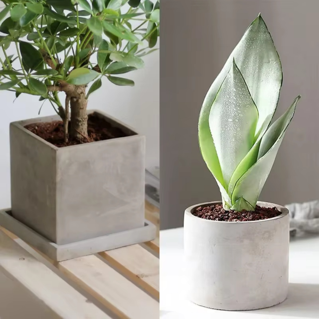 Echeveria Succulent - Cetakan Silikon Pot Bunga Beton Bulat