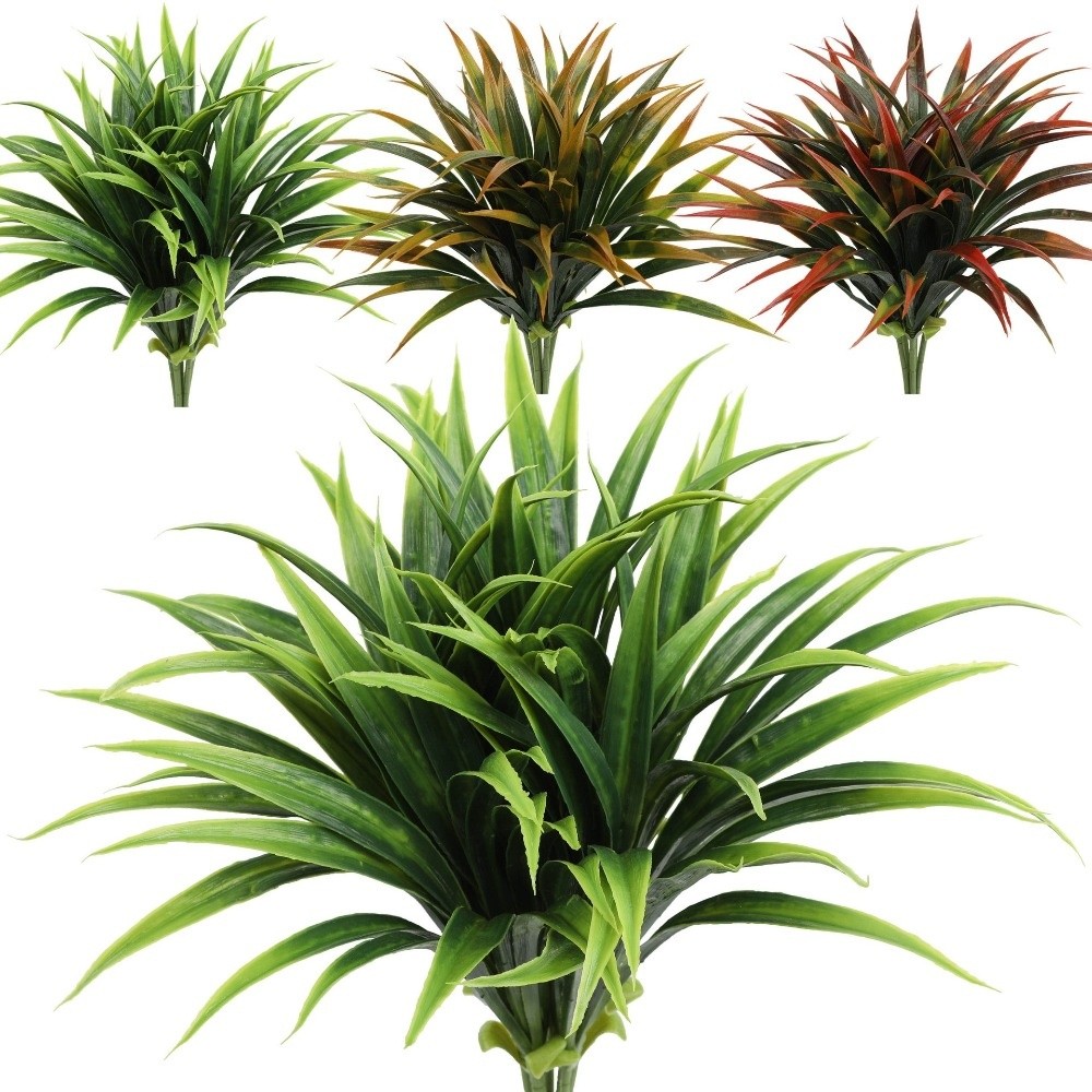 Dekorasi Lanskap, Daun Anggrek - Spider Plant Hanging ulasan dan harga
