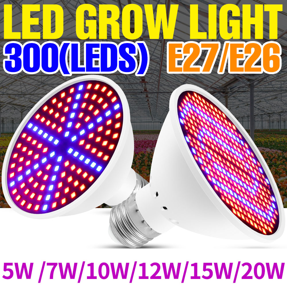 Lampu LED Spektrum Penuh 25W E - Echeveria Succulent ulasan dan harga