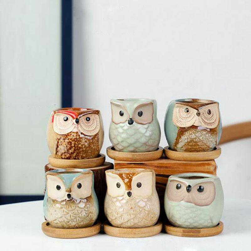 6 Buah/Set Set Pot Bunga Keram - Echeveria Succulent ulasan dan harga