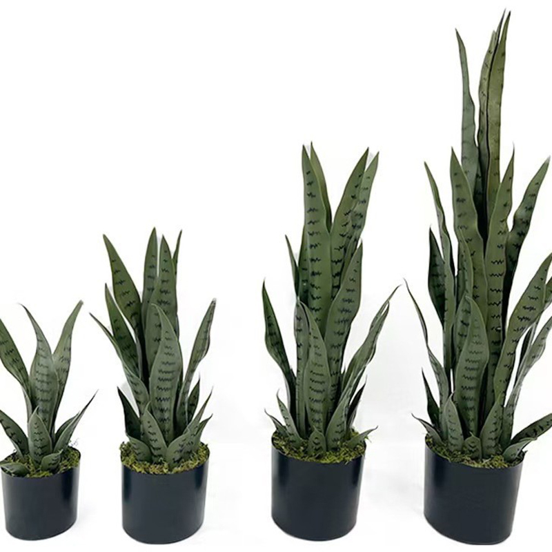Tanaman Sansevieria Buatan 40- - Ficus Lyrata Tree ulasan dan harga