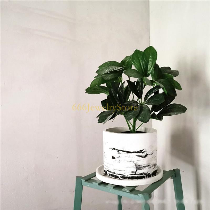 F2TD Model plester beton silik - Echeveria Succulent ulasan dan harga