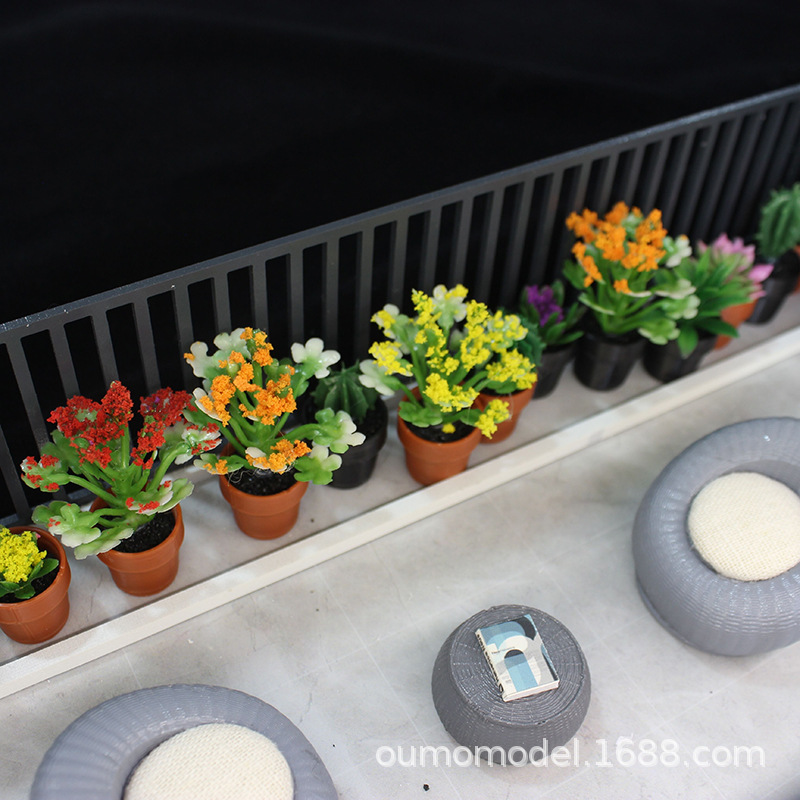 Tanaman Simulasi Mini Model Bu - Echeveria Succulent ulasan dan harga