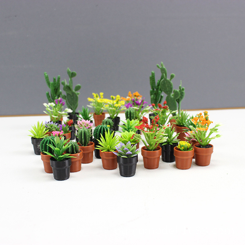 Tanaman Simulasi Mini Model Bu - Echeveria Succulent ulasan dan harga