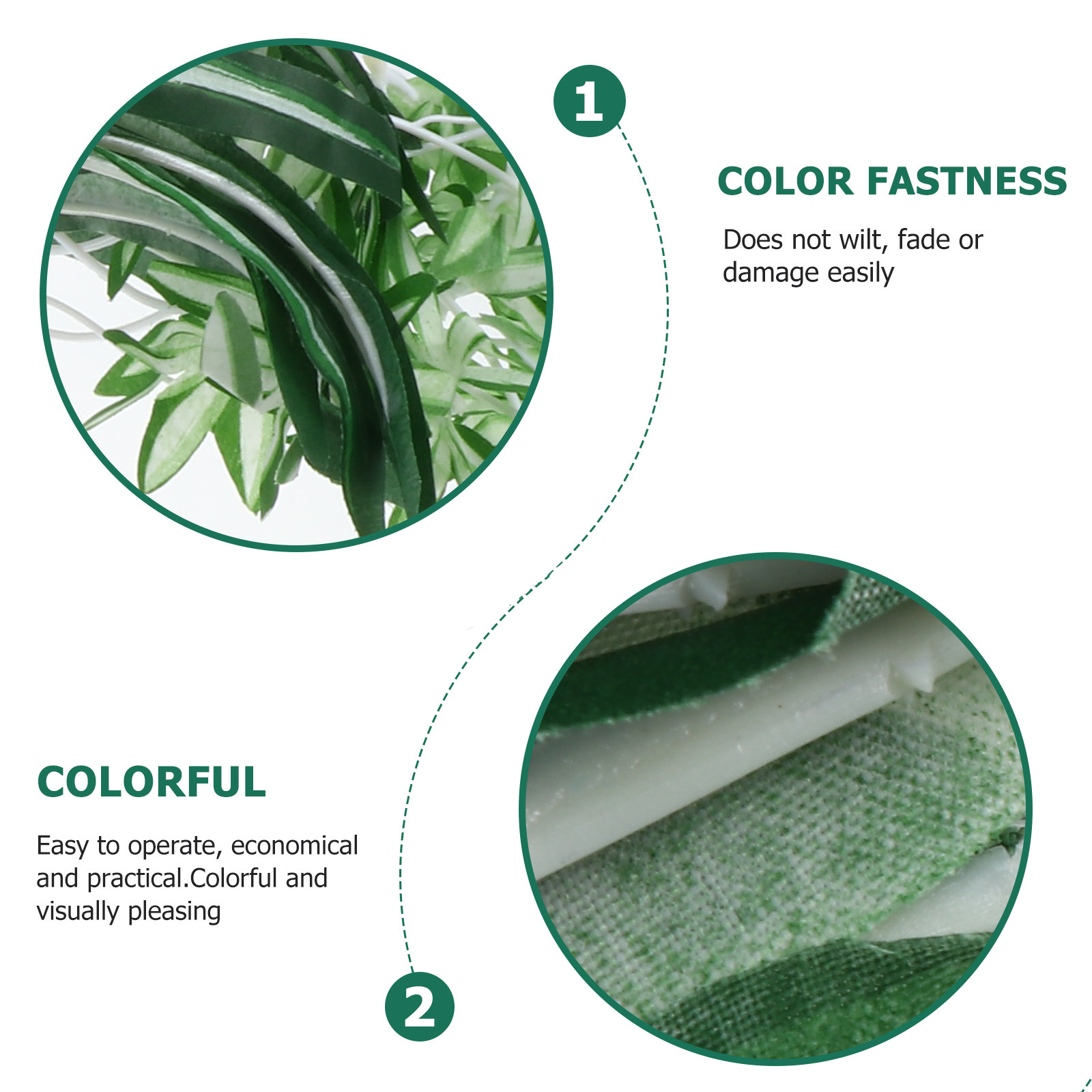 Tanaman Hias Gantung Chlorophy - Spider Plant Hanging ulasan dan harga