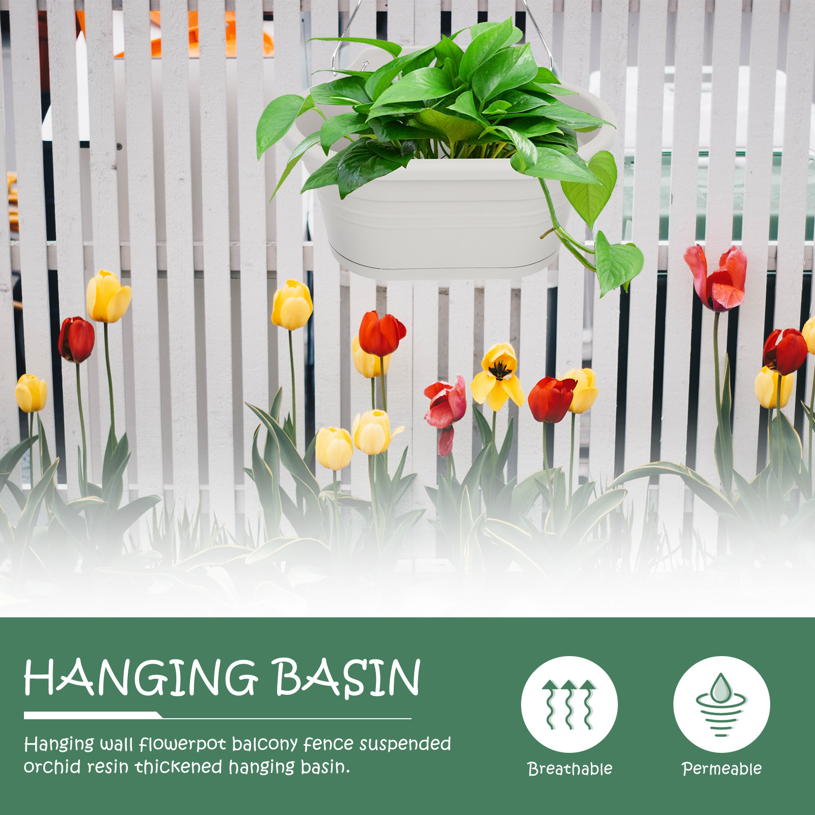 Set Pot Bunga Gantung yang Dip - Spider Plant Hanging ulasan dan harga