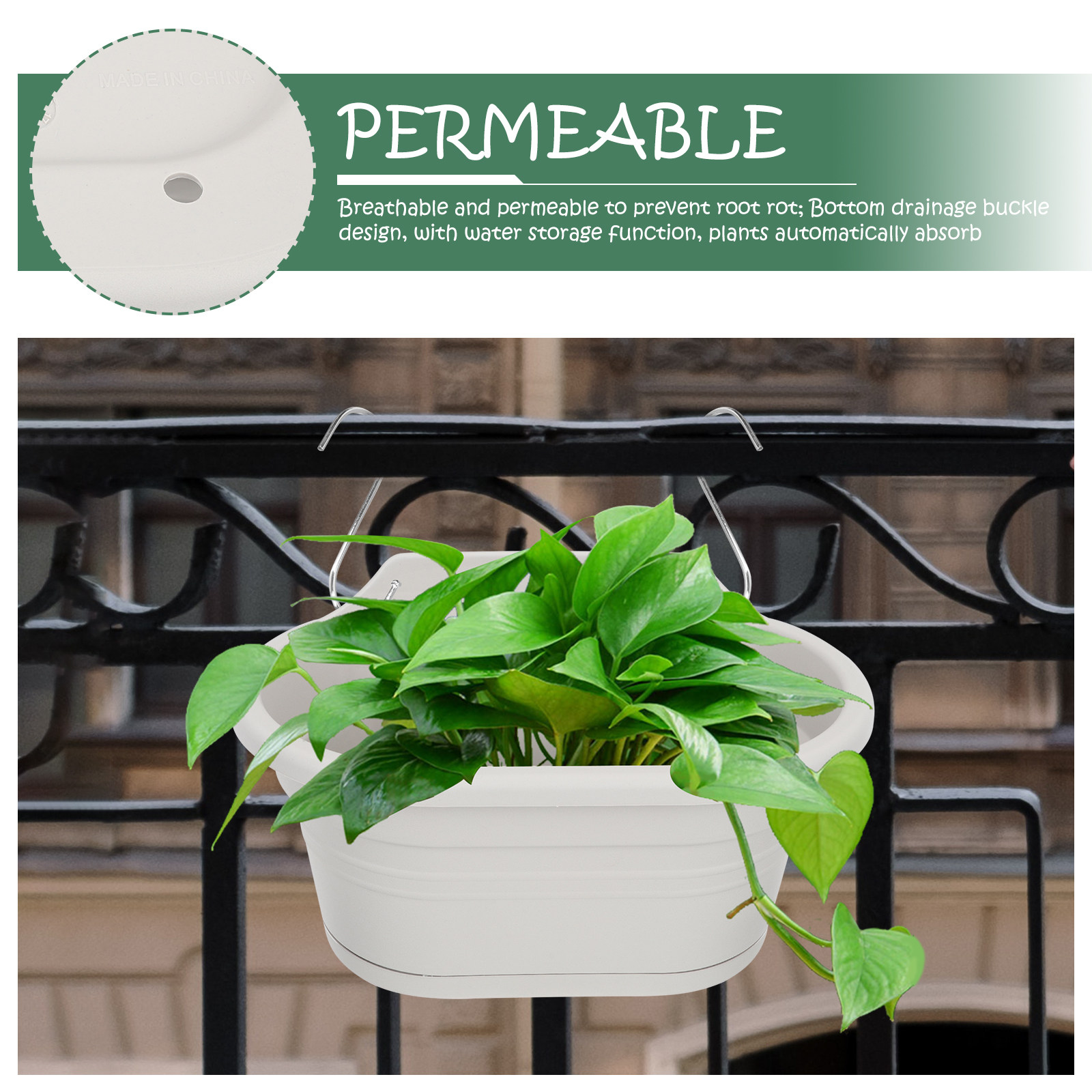 Set Pot Bunga Gantung yang Dip - Spider Plant Hanging ulasan dan harga
